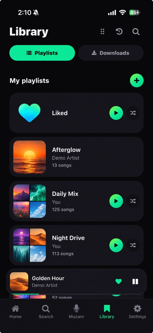 Muzica Library with fictional demo albums and playlists